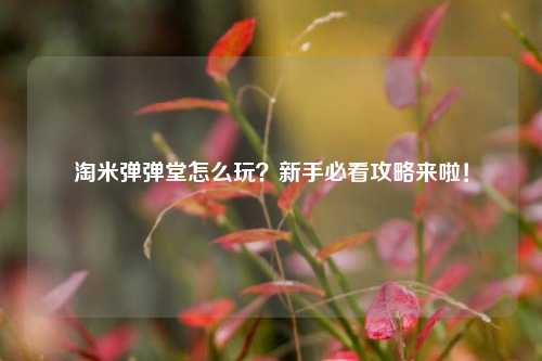 淘米弹弹堂怎么玩？新手必看攻略来啦！