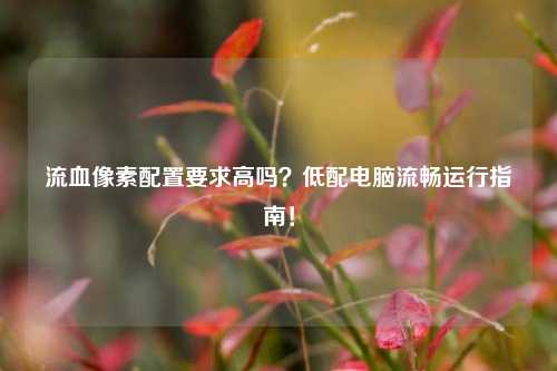 流血像素配置要求高吗？低配电脑流畅运行指南！
