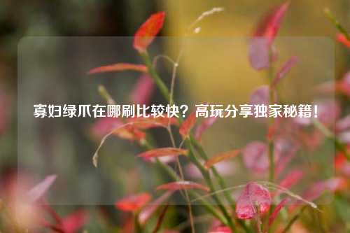 寡妇绿爪在哪刷比较快？高玩分享独家秘籍！