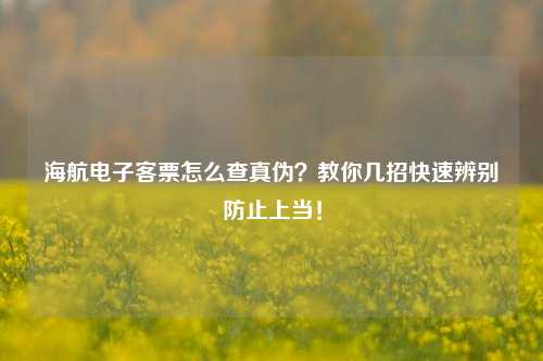 海航电子客票怎么查真伪？教你几招快速辨别防止上当！