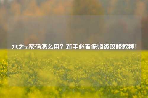 水之td密码怎么用？新手必看保姆级攻略教程！