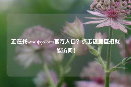 正在找www.sjxyx.com官方入口？点击这里直接就能访问！