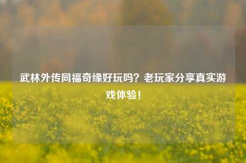 武林外传同福奇缘好玩吗？老玩家分享真实游戏体验！