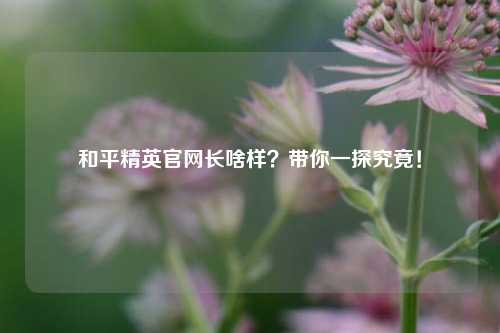和平精英官网长啥样？带你一探究竟！