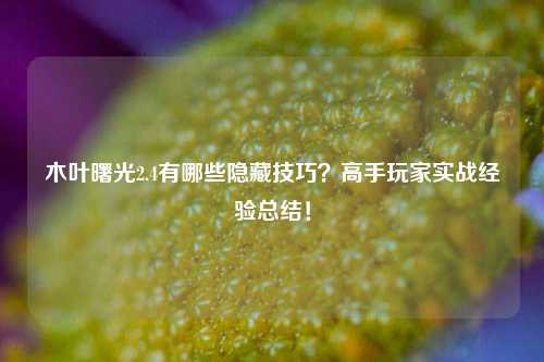 木叶曙光2.4有哪些隐藏技巧？高手玩家实战经验总结！